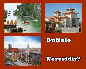 Buffalo Neresidir?