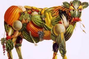 Veganların Kafası Çalışmaz Mı ?