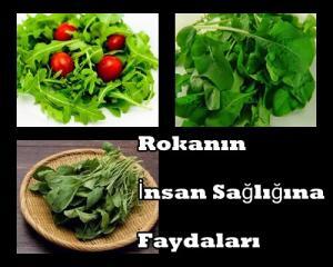 Rokanın Faydaları Ve Zararları