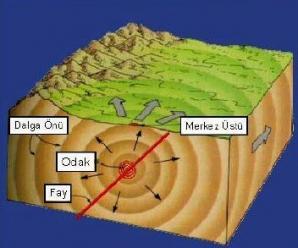 Deprem Bilimi (Simoloji ) Nedir,Nasıl Sınıflandırılır ?