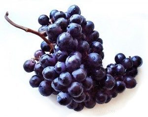 Kara Üzüm Ve Kara Üzüm Çekirdeği Hangi Hastalıkların Tedavisinde Kullanılır ?