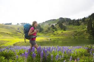 Hiking İle Doğayı Keşfedin, Stresten Arının