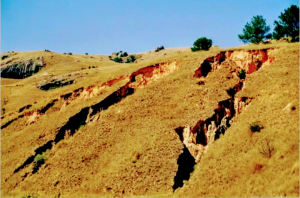 Türkiye'de Toprak Degradasyonu (Bozulma)