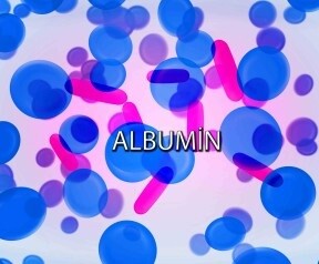 Albüminüri Hastalarına Faydalı ve Zararlı Olan Gıdalar Nelerdir?