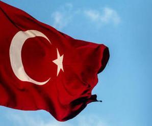 Türkiye ve Özelleştirme Sorunu