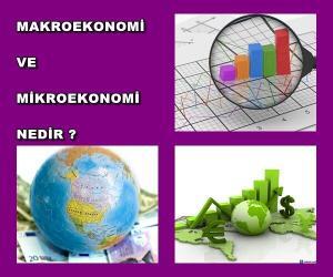 Makroekonomi Ve Mikroekonomi Arasındaki Farklar Nelerdir?