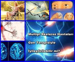 Multipl Skeleroz Hastaları Gen Terapisiyle İyileştirilebilir mi?
