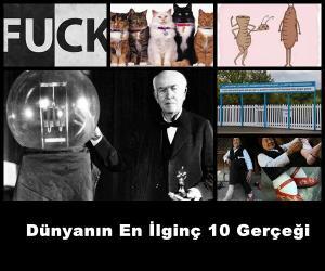 Dünyanın En İlginç 10 Gerçeği