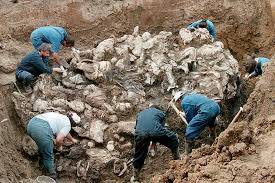 Srebrenica Soykırımı'nın Simgesi: Mavi Kelebekler