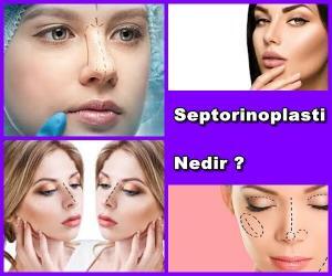 Septorinoplasti Nedir ?