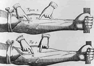 William Harvey Kimdir?