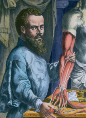 Andreas Vesalius Kimdir?