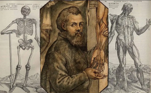 Andreas Vesalius Kimdir?