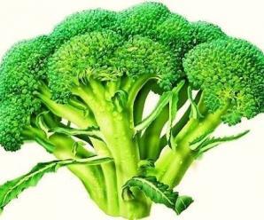 Brokoli Prostat Kanserini Nasıl Önlüyor?
