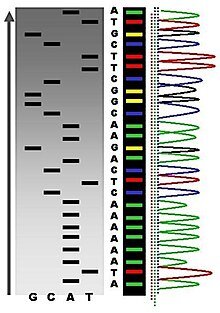 Genlerin Dizisini Nasıl Öğrenebiliriz?