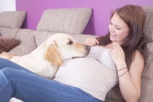 Köpeklerin Algılayabileceği 10 İlginç Şey