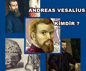 Andreas Vesalius Kimdir?