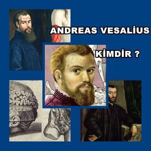 Andreas Vesalius Kimdir?