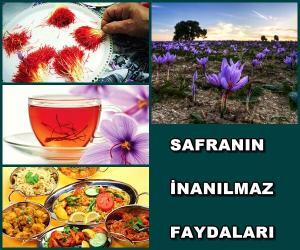 Safranın Yararları ve Yan Etkileri Nelerdir?