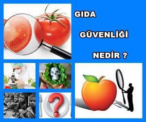Gıda Güvenliği Nedir?
