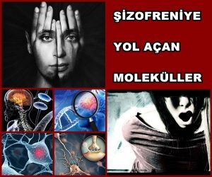Şizofreniye Neden Olan Moleküler Mekanizmalar