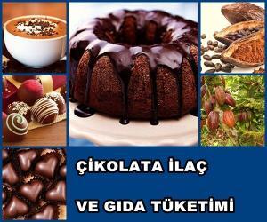 Çikolata İlaç-Gıda Olarak Hangi Özelliklere Sahiptir?