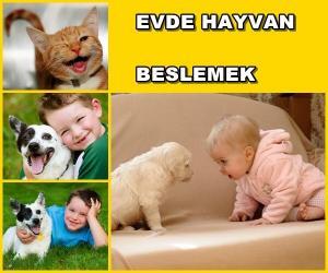 Evde Hayvan Beslemenin Çocuklara Kattığı Değerler