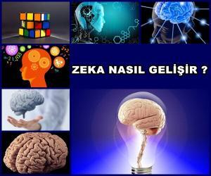 Zeka Nedir? Zeka Geliştirilebilir mi? Nasıl Daha Zeki Olunur?