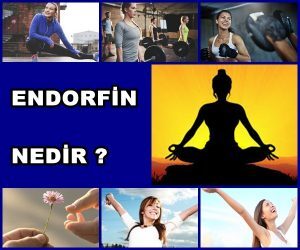 Endorfin Nedir? Nasıl Artırılır? Eksikliğinde Neler Olur?