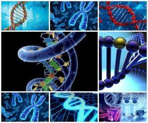 Rekombinant DNA Teknolojisinin Sağlık Alanında Kullanımı