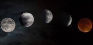 Umbra Nedir?