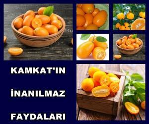 Kamkat'ın  İnanılmaz Faydaları