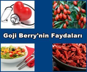 Goji Berry'nin Sağlığa Kattığı Değerler