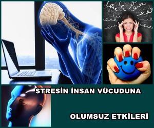 Stresin İnsan Bedenine Olan Etkileri