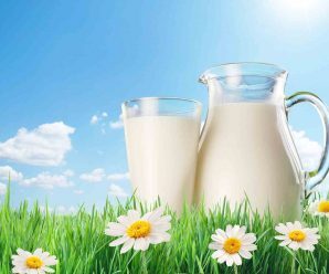 Süt ve Ürünlerinin İnsan Vücuduna Faydaları