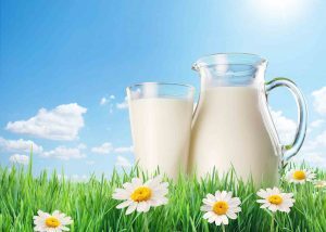 Süt ve Ürünlerinin İnsan Vücuduna Faydaları