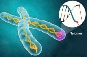 Biyolojik Yaşı Ölçen İdrar Testi Neden Önemli?