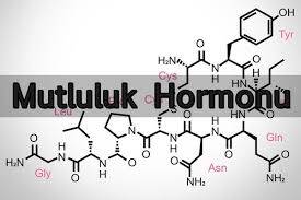 Çikolata Mutluluk Kaynağı mıdır?