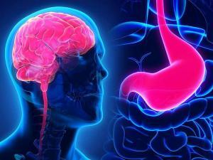 Mutluluk Hormonu (Serotonin) Nedir?