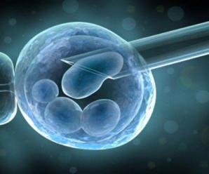 Embriyonik Kök Hücrelerin Özellikleri