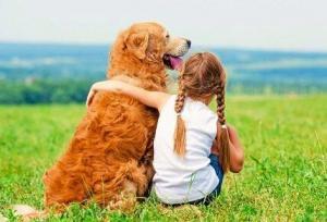 Kedi mi Yoksa Köpek mi Daha Zekidir?