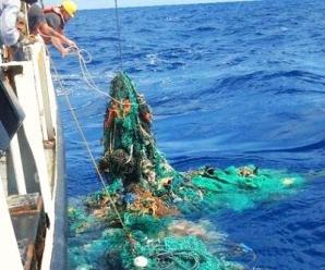 Okyanusu Kaplayan Plastikler Nasıl Temizlenir?