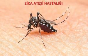 Zika Ateşi Hastalığı Nedir?