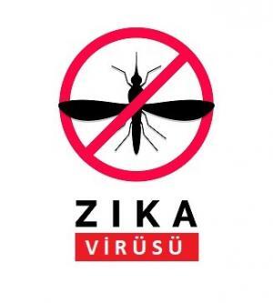 Zika Ateşi Hastalığı Nedir?