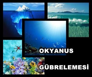 Okyanus Gübrelemesi Nedir?