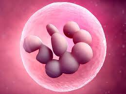 Eozinofil Sayısı Nedir?