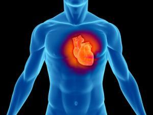 Kalp Hastalıkları Belirtileri ve Bilinmesi Gerekenler | Acıbadem
