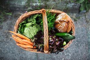 Kalori, Protein, Karbonhidrat ve Yağ: Ne kadarına İhtiyaç Duymaktayım?