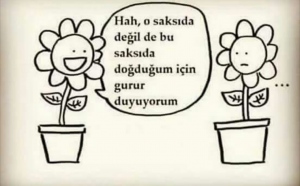 Şovenizm Nedir?