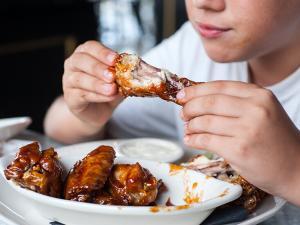 Enterik Campylobacteriosis Nedir?